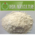 Rice Protein Meal Animal Feed Powder